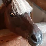 Farma Na Obidzy