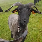 Na Obidzy Piwniczna-Zdroj