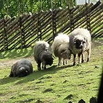 Farma Na Obidzy Piwniczna-Zdroj