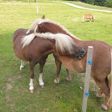 Na Obidzy 农家乐 *