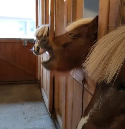 农家乐 Na Obidzy *