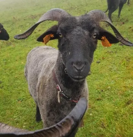 Na Obidzy Piwniczna-Zdroj