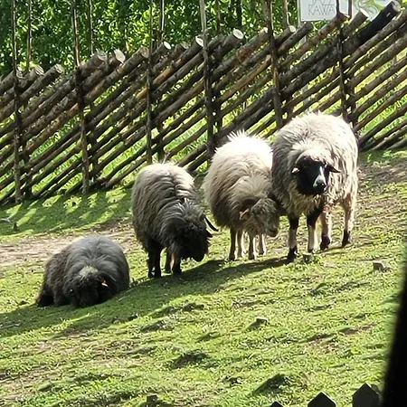 农家乐 Na Obidzy Piwniczna-Zdroj