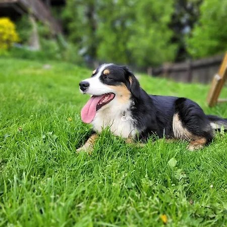 Na Obidzy Piwniczna-Zdroj