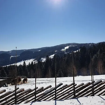 农家乐 Na Obidzy *