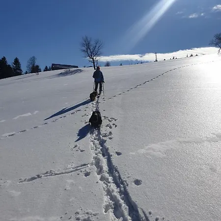 农家乐 Na Obidzy *