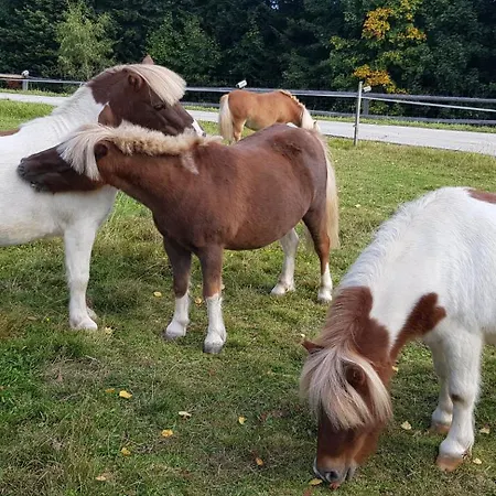 Na Obidzy Piwniczna-Zdroj