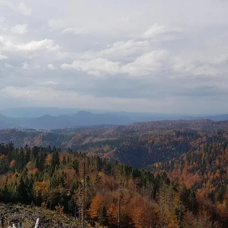 农家乐 Na Obidzy *