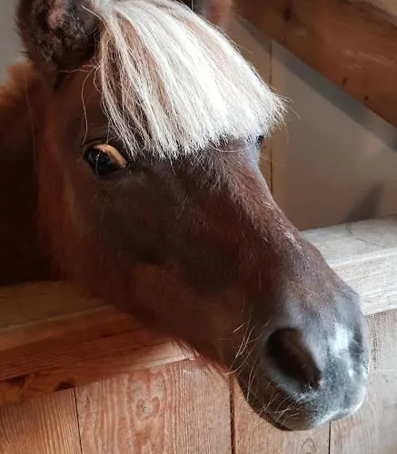 Gospodarstwo agroturystyczne Na Obidzy