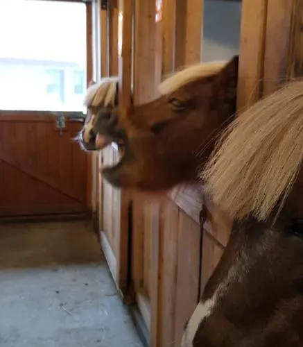 Gospodarstwo agroturystyczne Na Obidzy *