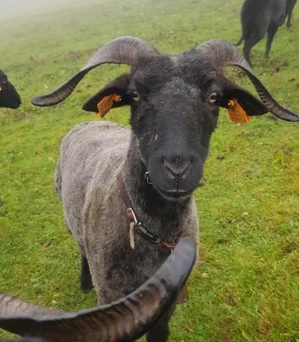 Na Obidzy Piwniczna-Zdroj