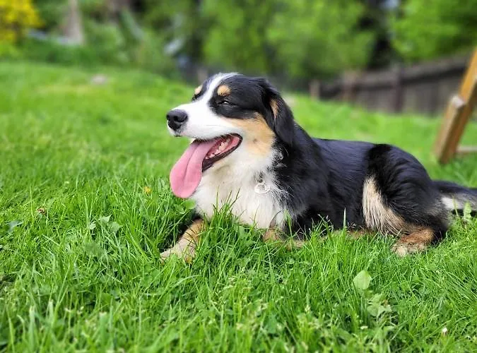 Na Obidzy Piwniczna-Zdroj