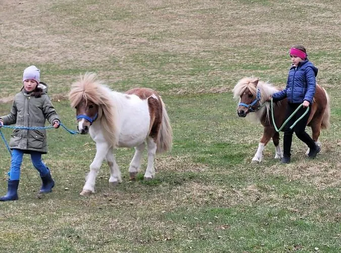 Na Obidzy Gospodarstwo agroturystyczne