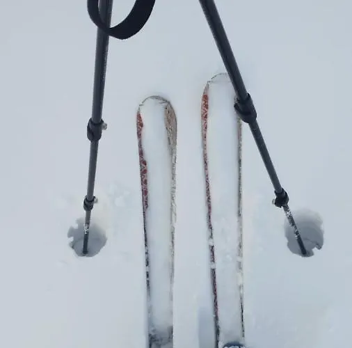 Gospodarstwo agroturystyczne Na Obidzy Piwniczna-Zdroj