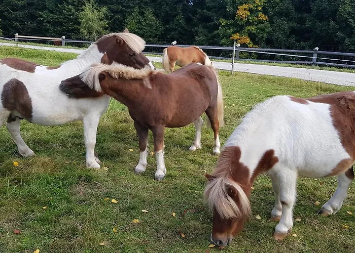 Na Obidzy Piwniczna-Zdroj