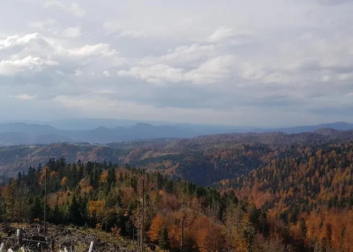 Gospodarstwo agroturystyczne Na Obidzy *